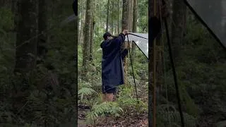 Thumbnail: SOLO HEAVY RAIN #shorts