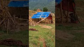 Thumbnail: beautiful Nepali mountain village life #shorts #nature #nepalivillage #villagelife #youtubeshorts