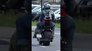 Thumbnail: #harleydavidson