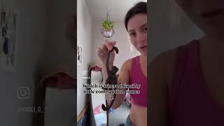 Thumbnail: Ahhh it’s the perfectly cute & helpful plant hanger contraption!