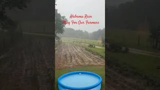 Thumbnail: Alabama Rain 🌧️ Pray For Our Farmers #farming #homestead #rain #alabama
