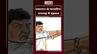 Thumbnail: रायगढ़ में पिस्टलनुमा एयरगन से दहशत फैलाने फायरिंग