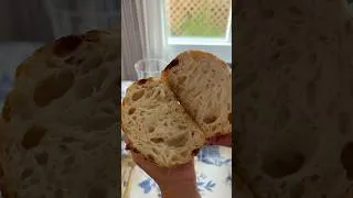 Thumbnail: Sourdough Sunday 🥖 how cute is this mini loaf! # #californiagarden #gardening #sourdough