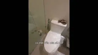 Thumbnail: Một số lưu ý khi mua thiết bị vệ sinh...