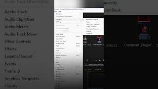 Thumbnail: 99% of Premiere Pro Editors Don't Know This FREE Plugin #hasimfx