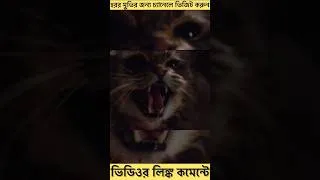 Thumbnail: Pet Sematary Horror Movie Explained in Bangla