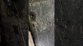 Thumbnail: Have you ever found Witch Marks? #witchmarks #darktourism #hauntsandjauntsadventures