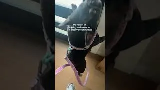 Thumbnail: she has unique ways of expressing herself 🤩