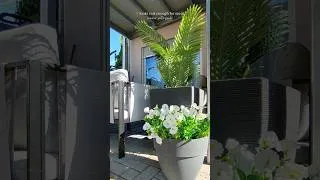 Thumbnail: this heat wave wont get my plants 🌴🪴✨ #summer #porch #homedecor #outdoordecor #garden