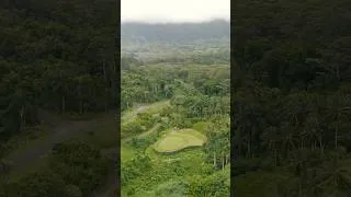 Thumbnail: Golfing in Jurassic Park 🦴 #golf #golflife #higolf #hardestgolfcourse #golfer #breaking80 #golfing