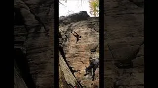Thumbnail: Wear your helmet!!! #weekendwhipper #rockclimbing