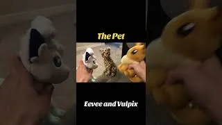 Thumbnail: The Pet #pokemon #pet #plushie #funny