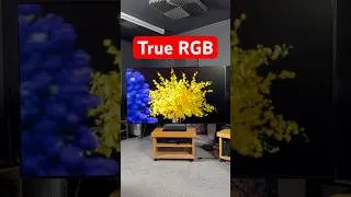 Thumbnail: Unboxing Sony's 1st True RGB TV 👀