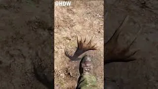 Thumbnail: FAR CRY 5 - BUGGY ELK HIDING UNDERGROUND