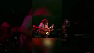 Thumbnail: The Allman Brothers Live at The Capitol Theatre in 1981