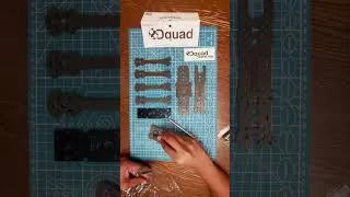 Thumbnail: The Dquad Perfection 2023 #shorts #shortsvideo  #shortsfeed  #dquad #shortsviral