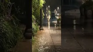 Thumbnail: 잠 못 이루는 밤, 바로 잠들게 해주는 빗소리 – 불면증과 이명에 효과적인 수면 힐링 백색소음 ASMR