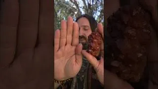 Thumbnail: If you're feeling bad, I'd watch this!