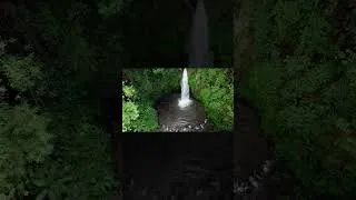 Thumbnail: Healing music 🌿good sleep music, restores the nervous system and stabilizes emotions