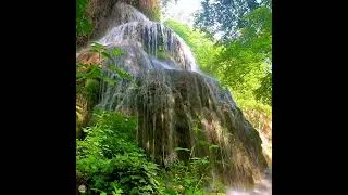Thumbnail: 🌳💧Your Daily Dose of Nature Meditation: Waterfall sounds & Birdsongs | New Release