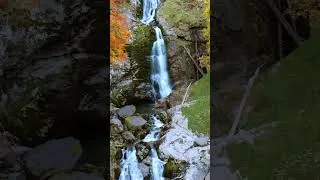 Thumbnail: Great relaxing music🌿Don't think too much, Soothing music helps you sleep deeply