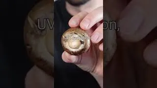 Thumbnail: The Hidden Power of Mushrooms and Vitamin D Explained