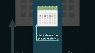 Thumbnail: What is neutropenia? #AML