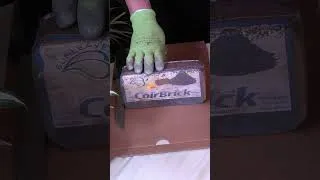 Thumbnail: What is Coconut Coir?