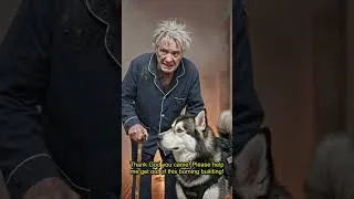 Thumbnail: Brave Dog