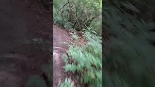 Thumbnail: Fantastic Discovery