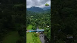 Thumbnail: Nettara Bridge, Wayanad😍
