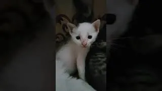 Thumbnail: She gave birth to such CUTIE PIES!!!