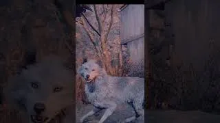 Thumbnail: Resident Evil 4 - Rescue Animal