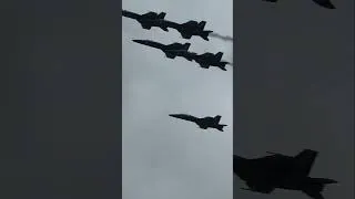 Thumbnail: The Delta Roll and photo bird
