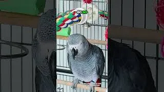 Thumbnail: Baby Zeus Knows Just What to Say