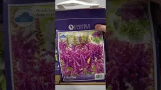 Thumbnail: The purple bags are back at Costco!
