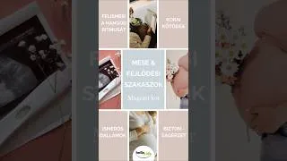 Thumbnail: 🤍Mese már a pocakban – a kapcsolat kezdete🤍#magzatimesélés  #babavárás  #tudatosszülőség