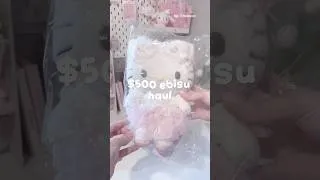 Thumbnail: crazy $500 cute ebisu haul pt. 2  #unboxing #sanrio #pinterest #kawaii #cutecore #sylvanianfamilies