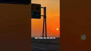 Thumbnail: #WILDFLOWER #tiktok #tiktokmusic