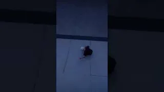 Thumbnail: Skate.