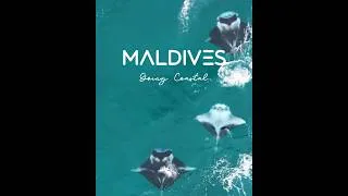 Thumbnail: 🌊 Maldives Paradise Escape 🐟Vibrant Ocean Life▶️Full 4K Ocean Therapy