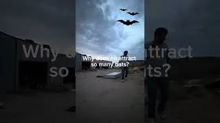 Thumbnail: Wife Drives Me Batty