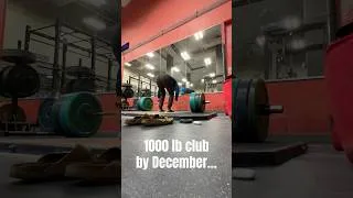 Thumbnail: 385 1x5 182 bw. Shooting for 1000lb club by end of year but my bench and squat are lagging