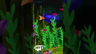 Thumbnail: Hey Bear Sensory Bedtime - Aquarium - Calming Animation