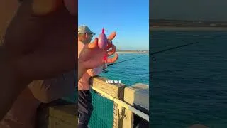Thumbnail: Don't Fish a Pier Without This! 😳