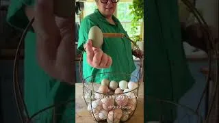 Thumbnail: Double yolk deviled egg?! We partnered w/ HSN to prep for the busy week ahead! #AD #HSNfluencer @HSN