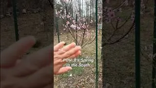 Thumbnail: POV: It’s Spring in the South