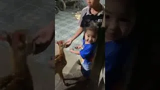 Thumbnail: The Sweetest Friendship Between a Baby and a Baby Deer #animals #deer #cozyliving #farm