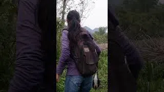 Thumbnail: hunting exotic birds