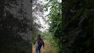 Thumbnail: slingshot for hunting birds